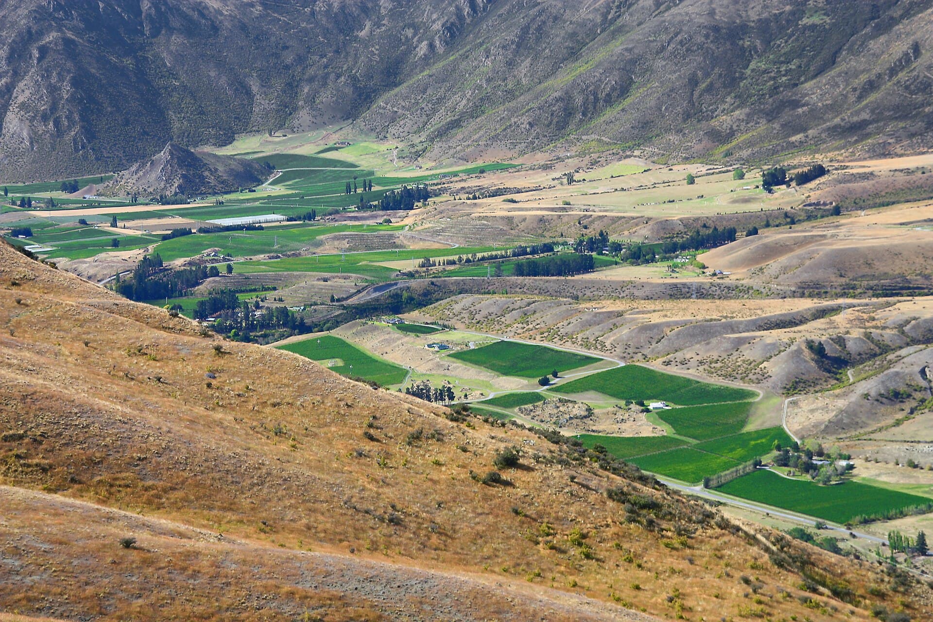 Vigneti di Gibbston Valley, Central Otago (Nuova Zelanda)